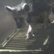 Illustration for article titled emThe Last Guardian/em Still Lives, Promises Sony Developer